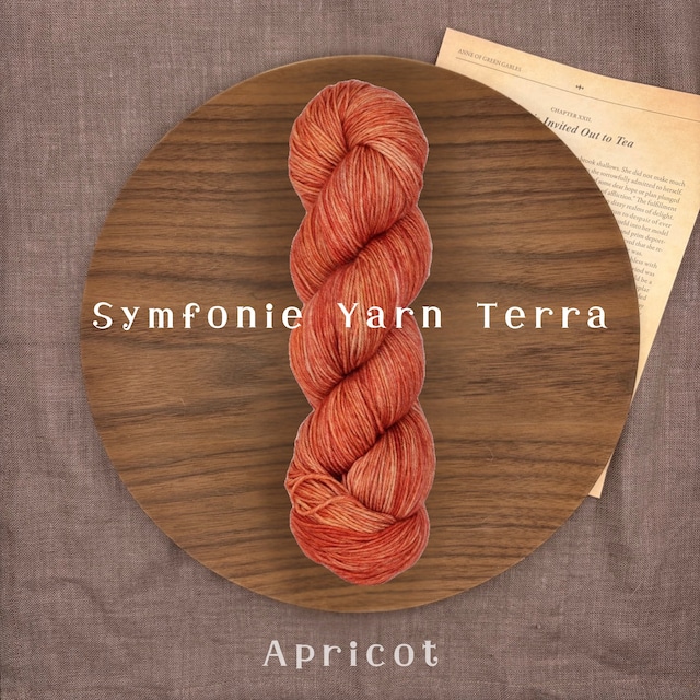 Symfonie Yarn 「Terra」- Apricot- 手染めソックヤーン 中細 100g 400m 靴下編み 毛糸 ニットプロ