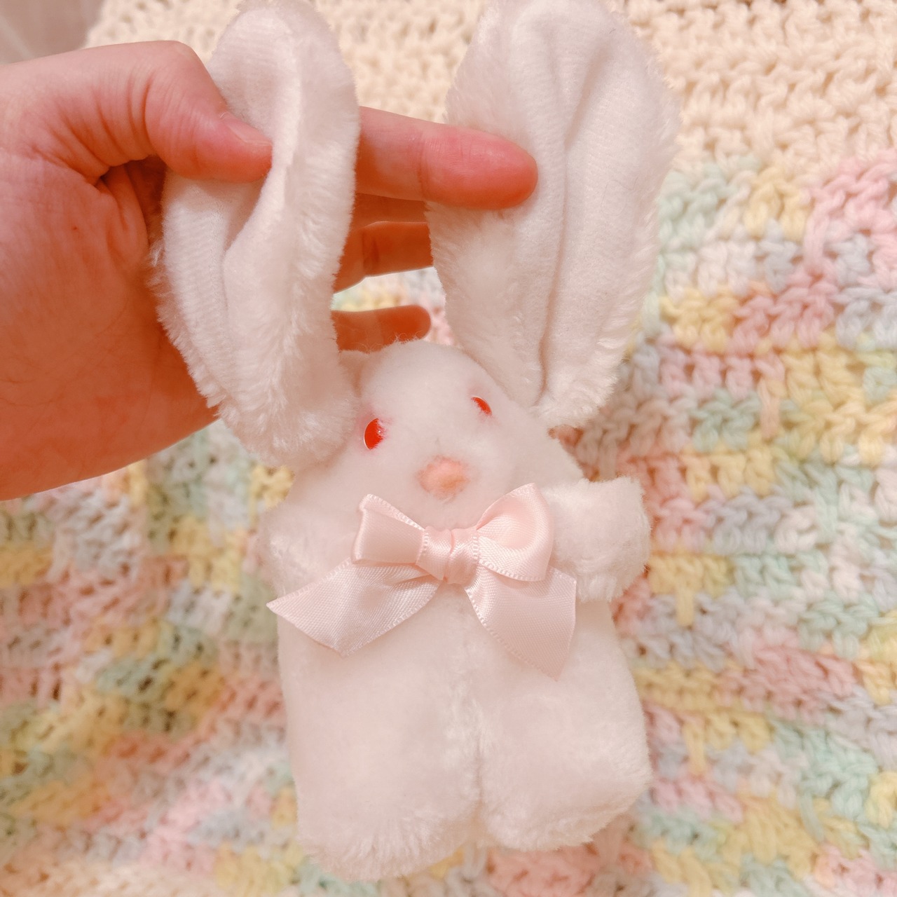 mini bunnyの画像05