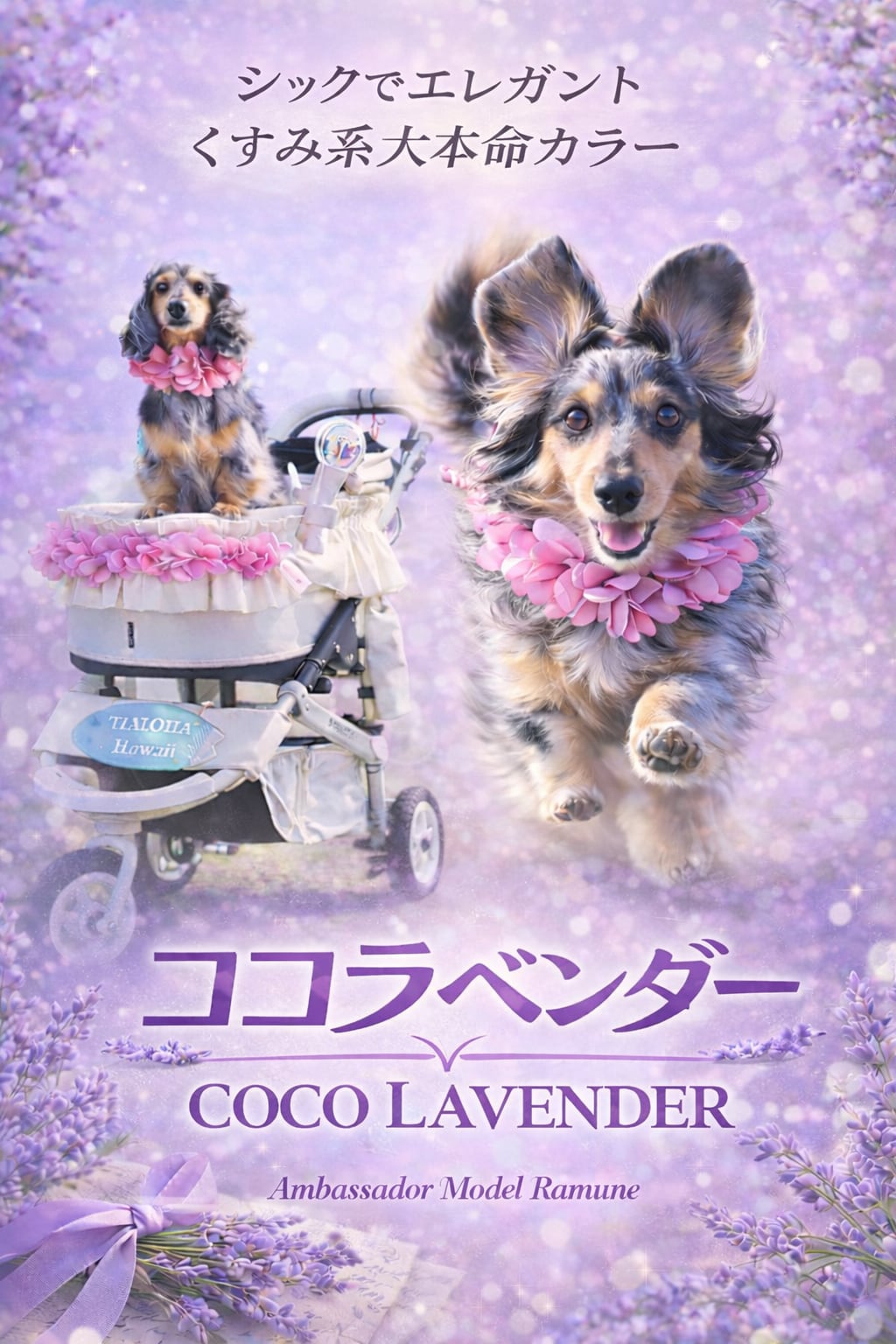 ココラベンダー