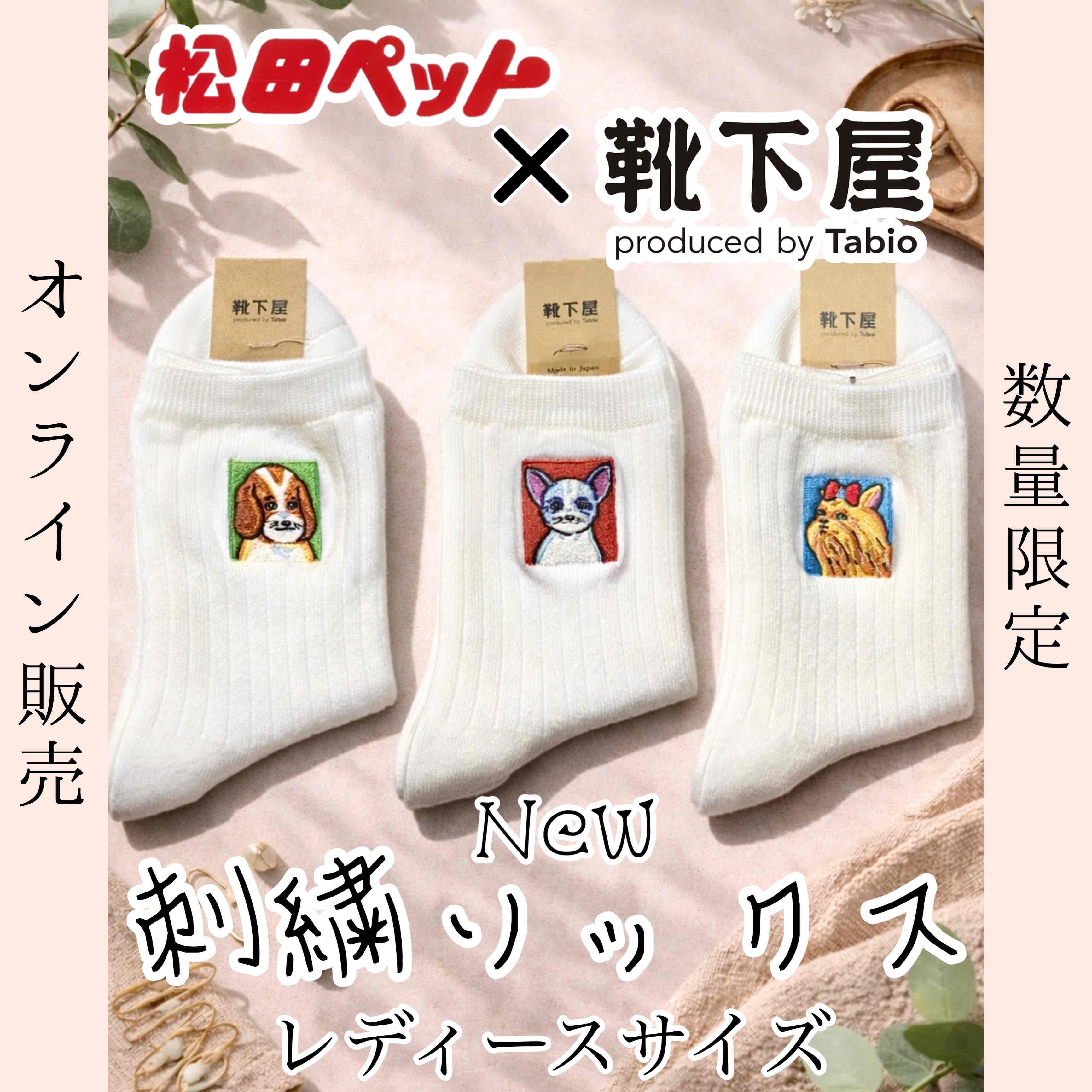 靴下屋×松田ペット】コラボ刺繍ソックス（レディースサイズ） | 松田ペット