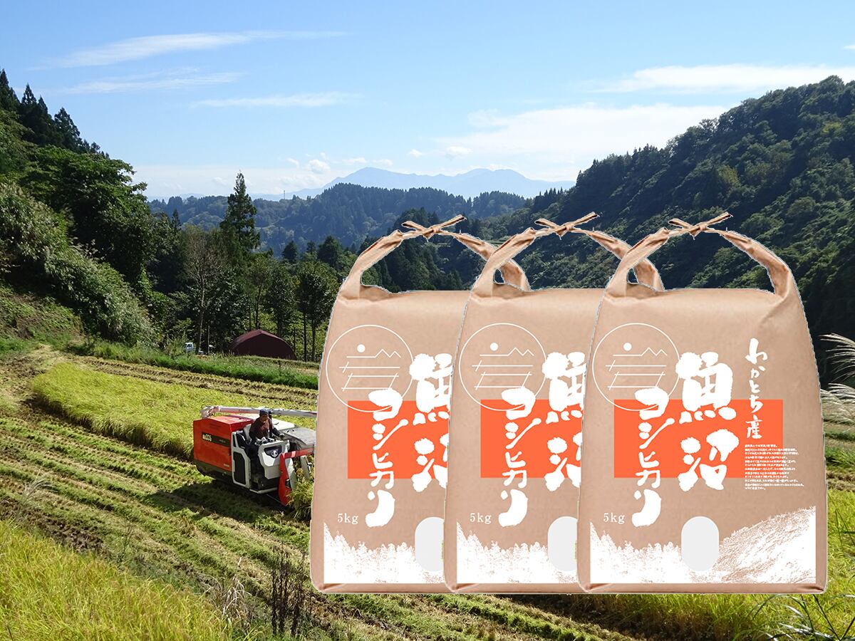 ですので 令和4年産 魚沼産コシヒカリ特別栽培米 精米15キロ(5キロ×3袋