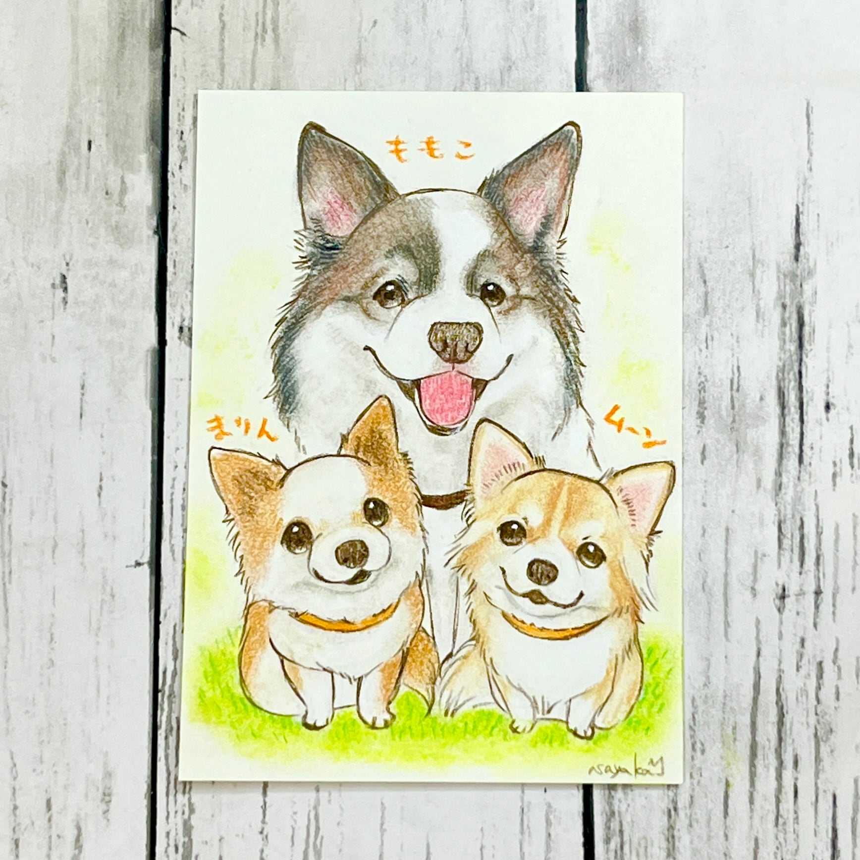 ポストカード似顔絵三頭分 | ペットイラストはぐもふ