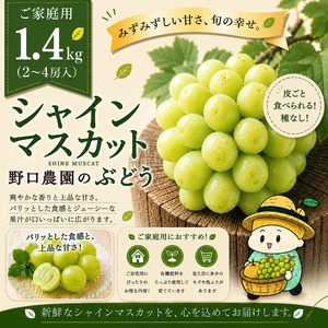 ◻️ご家庭用 シャインマスカット1.4kg（2~4房入）☆