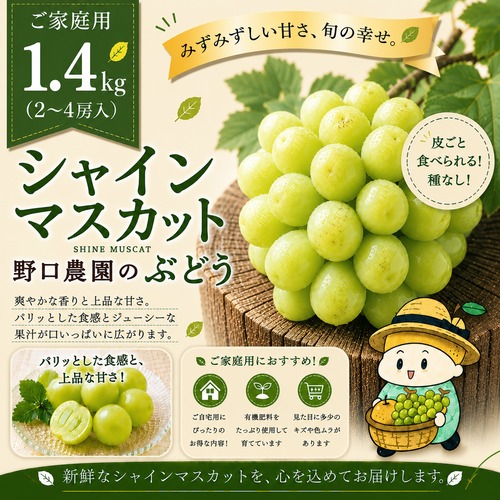 ◻️ご家庭用 シャインマスカット1.4kg（2~4房入）☆