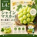 ◻️ご家庭用 シャインマスカット1.4kg（2~4房入）☆