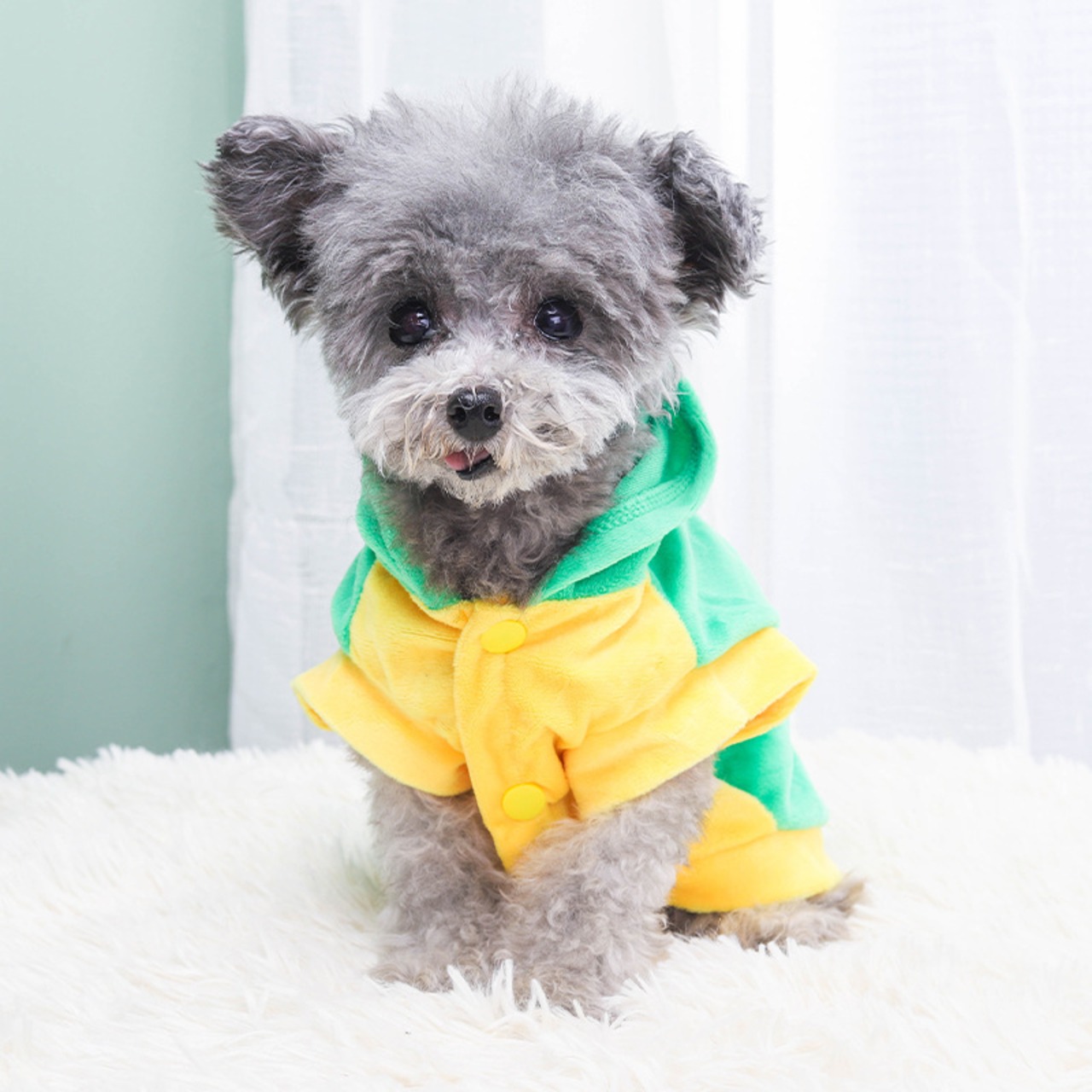 【PET】鮮やかな色合いフード付き恐竜仮装アウター