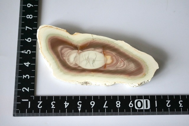 ロイヤルインペリアルジャスパー　Royal Imperial Jasper 1160