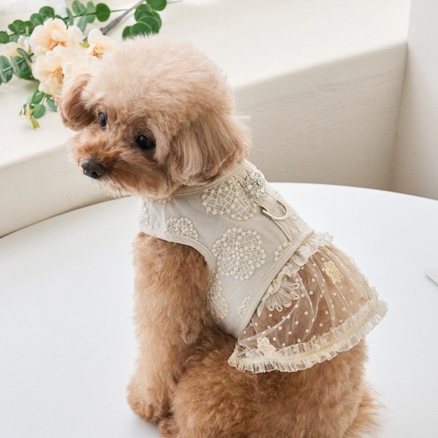 Lace Harness