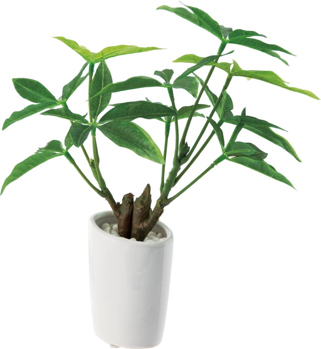スリムパキラオーバルポット　　GLA-1223　4961823622786　造花（アーティフィシャルフラワー） > 観葉植物