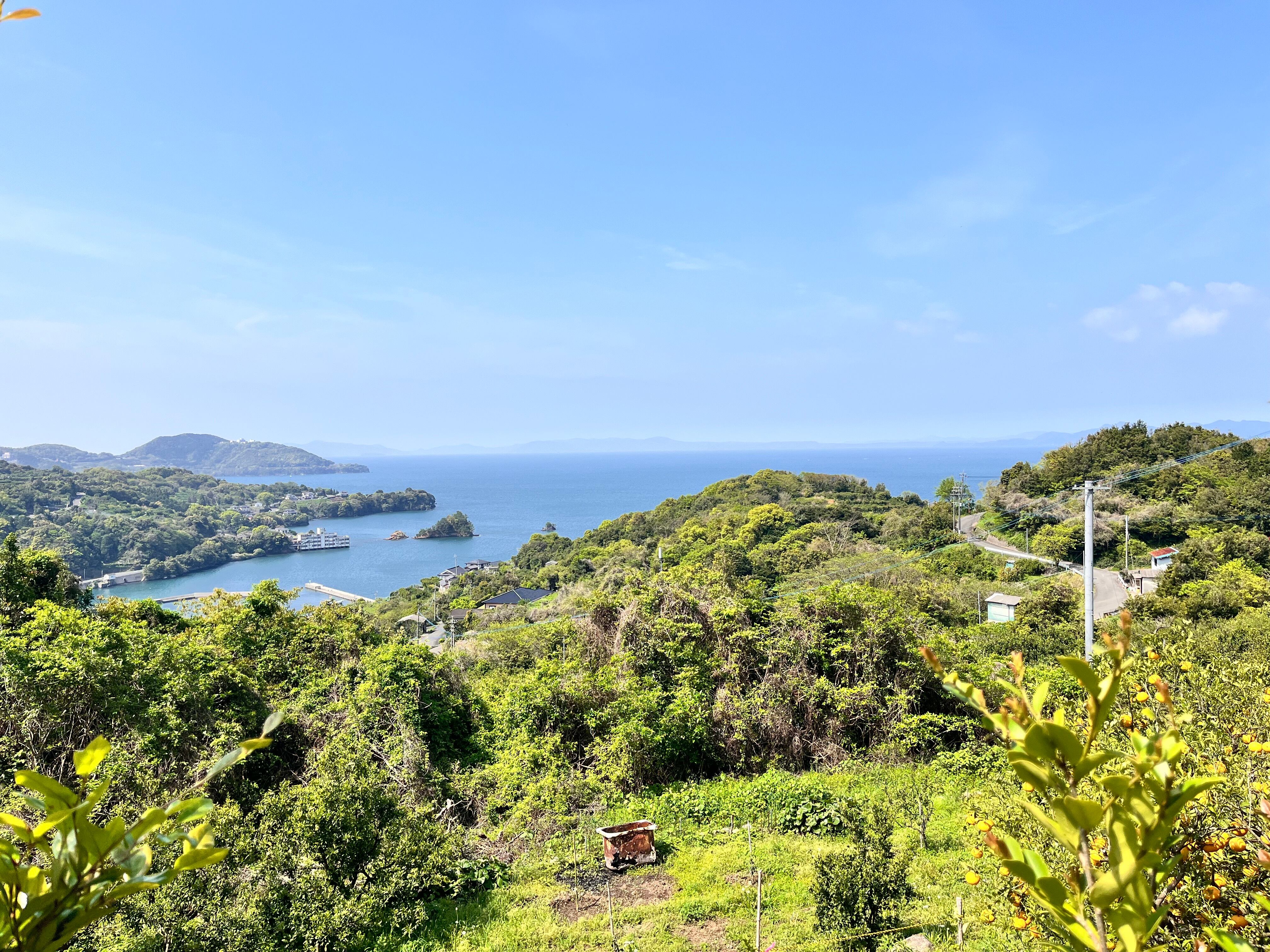 木成り完熟甘夏とカカオニブのマーマレード　自然栽培　津奈木産