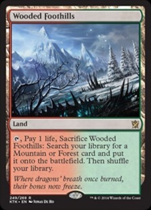 MTG　《樹木茂る山麓/Wooded Foothills(KTK)》　英語