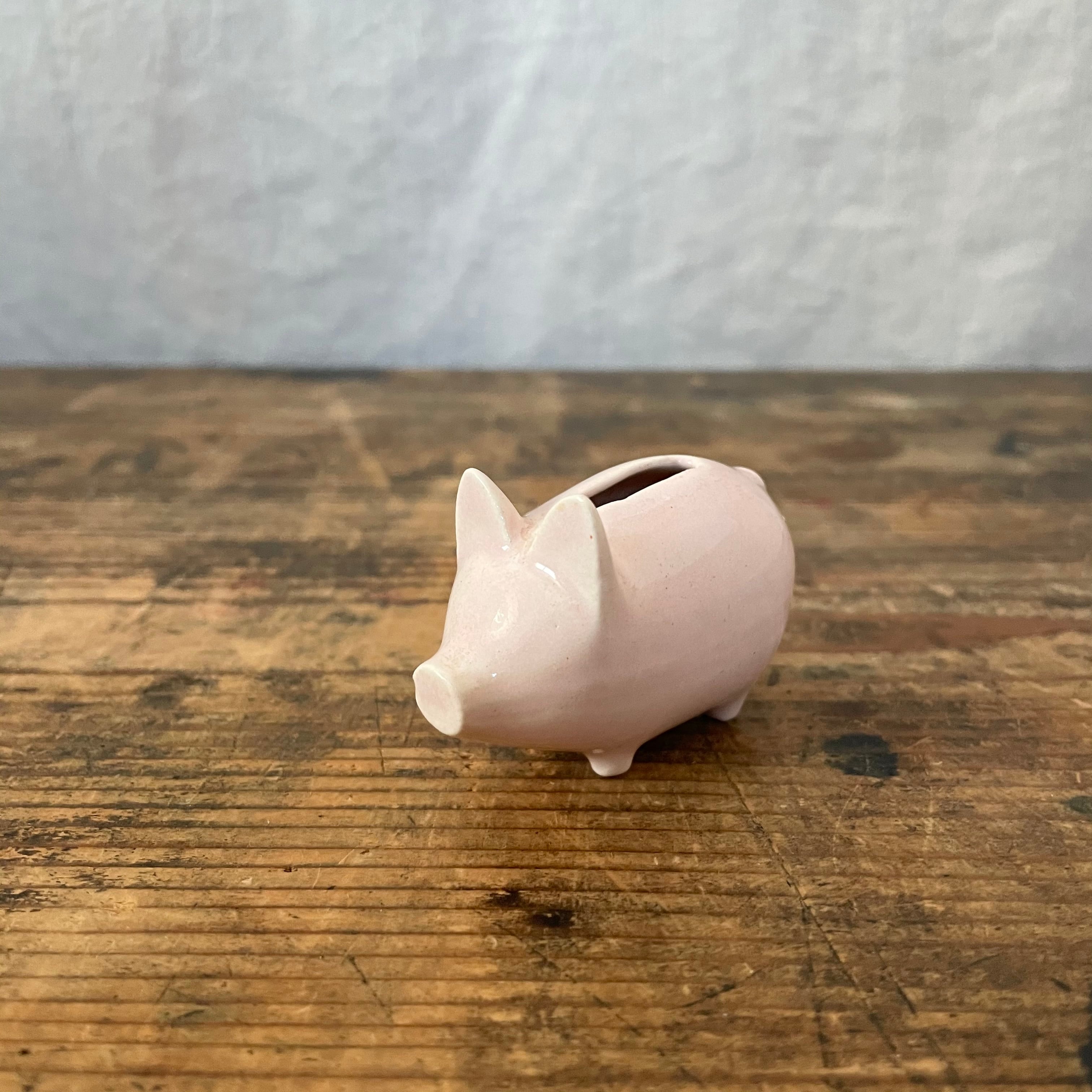 謎の穴のあるブタ