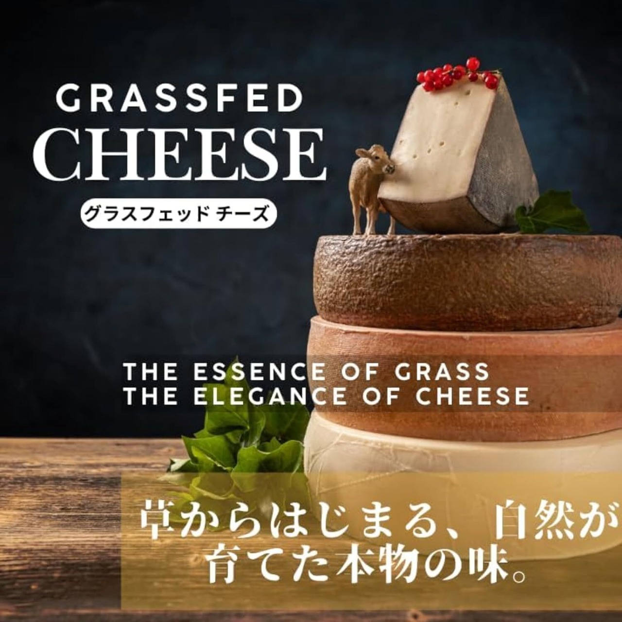 フランス産 フレッシュ ヤギチーズ スプレッド 2種セット (ピカンドゥ ア タルティネ/ピカンドゥ ミエル ア タルティネ) Fresh goat cheese spread Set (Picandou a tartiner & Picandou miel a tartiner)