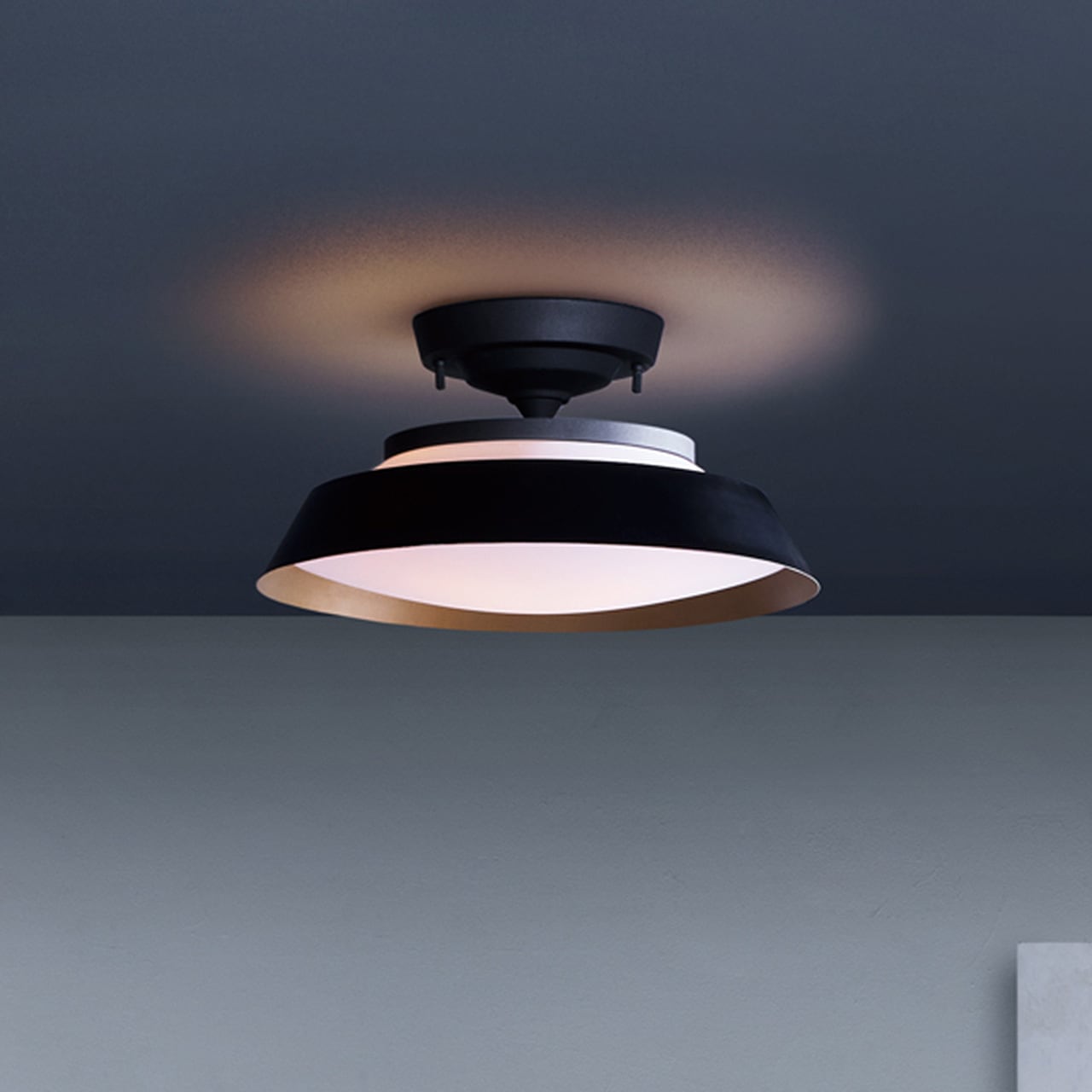 ARTWORKSTUDIO アートワークスタジオ Graph LED-remote ceiling light
