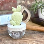 DULTON ダルトン カクタス フレグランスディフューザー