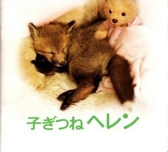 あの頃映画 松竹DVDコレクション 子ぎつねヘレン Amazon.co.jp: あの頃映画 松竹DVDコレクション 子ぎつねヘレン