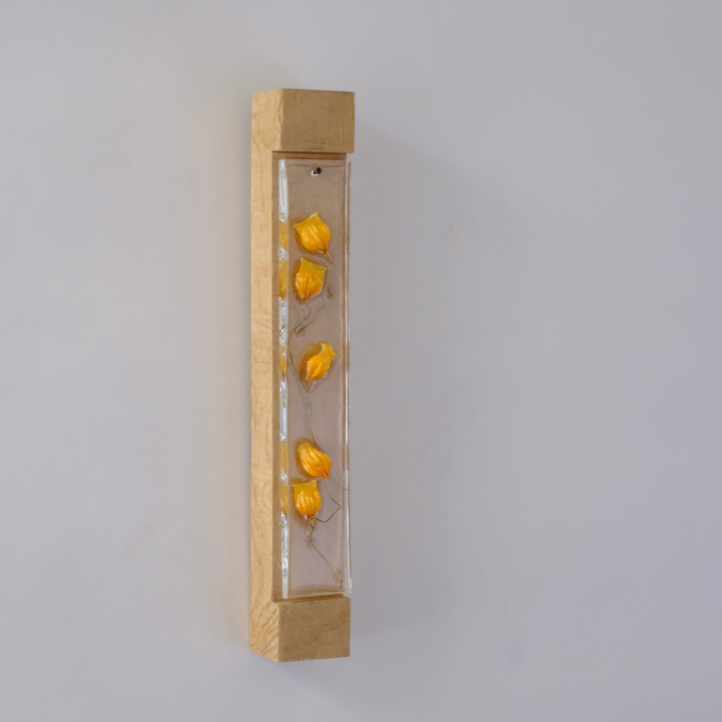 TANZAKU サンダーソニア | toevalling