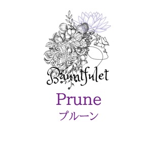 プルーン（Prune) 100g