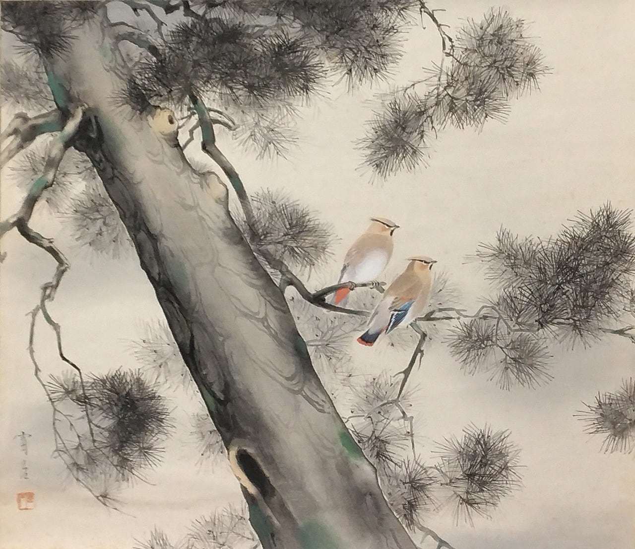近代人気作家 根上富治｜NEAGARI Tomiji(山形/ 1895-1981) 「老松」尺