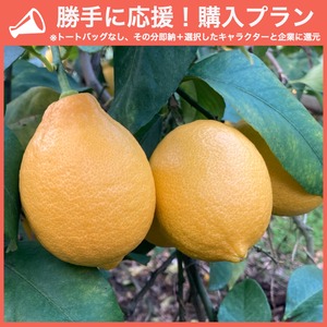 【勝手に応援プラン】佐賀県産 国産レモン 1kg