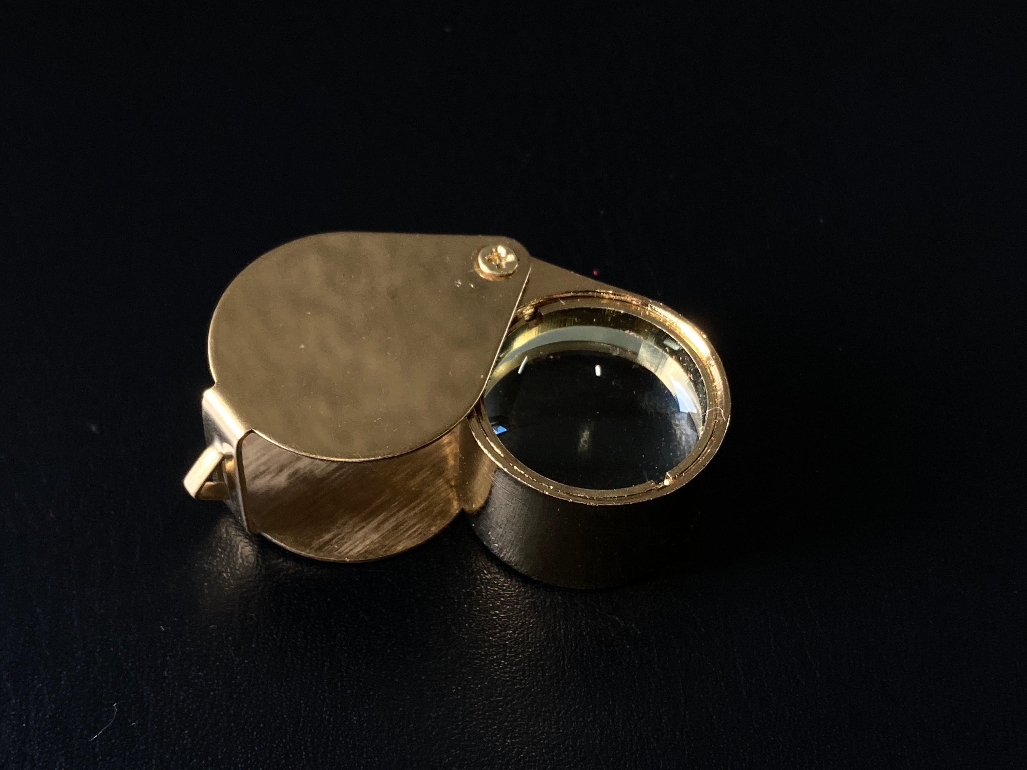 定期便利用者様限定】ルーペ（ゴールド） | differencee(ディファレンシー)