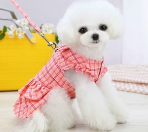 ドッグ 犬 小型犬 ドッグウェア 室内着 ドレス ワンピース リード リードセット ハーネス フリル 袖付き リボン ふりふり ひらひら 薄手 スナップボタン かわいい きれいめ カジュアル おしゃれ 個性的 ラブリー キュート プリンセス フェアリー 都会的 シンプル フレンチ シック チェック 格子柄 マドラスチェック 夏 サマーシーズン 夏服 女の子 成犬 デート お出かけ リゾート 旅行 公園 休日 バカンス ショッピング カフェ 庭 ガーデン 朝 散歩 ウォーキング