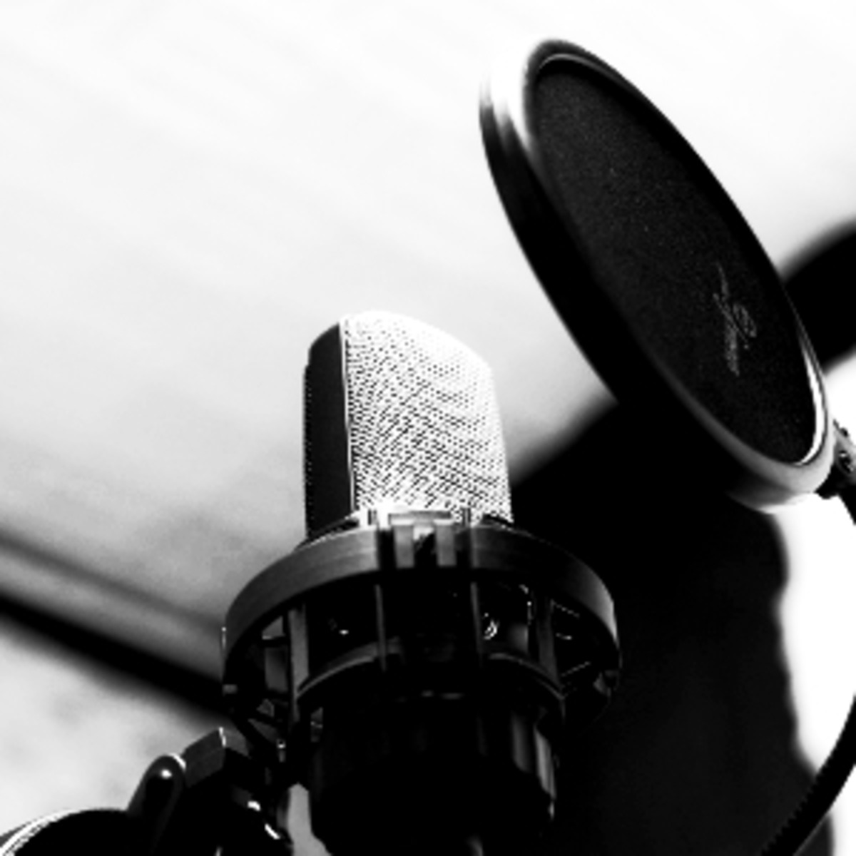 Voice Percussion&Scratch ボイスパーカッション サンプリング音源/効果音 DIGLOOPS ハードコア