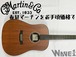 【Martin】D-X1E Mahogany