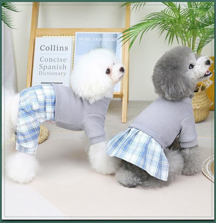 新品未使用　pet so chic 犬服