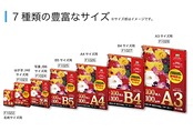 アスカ ラミネートフィルム A4サイズ F1026 静電防止 100枚入り 100μ