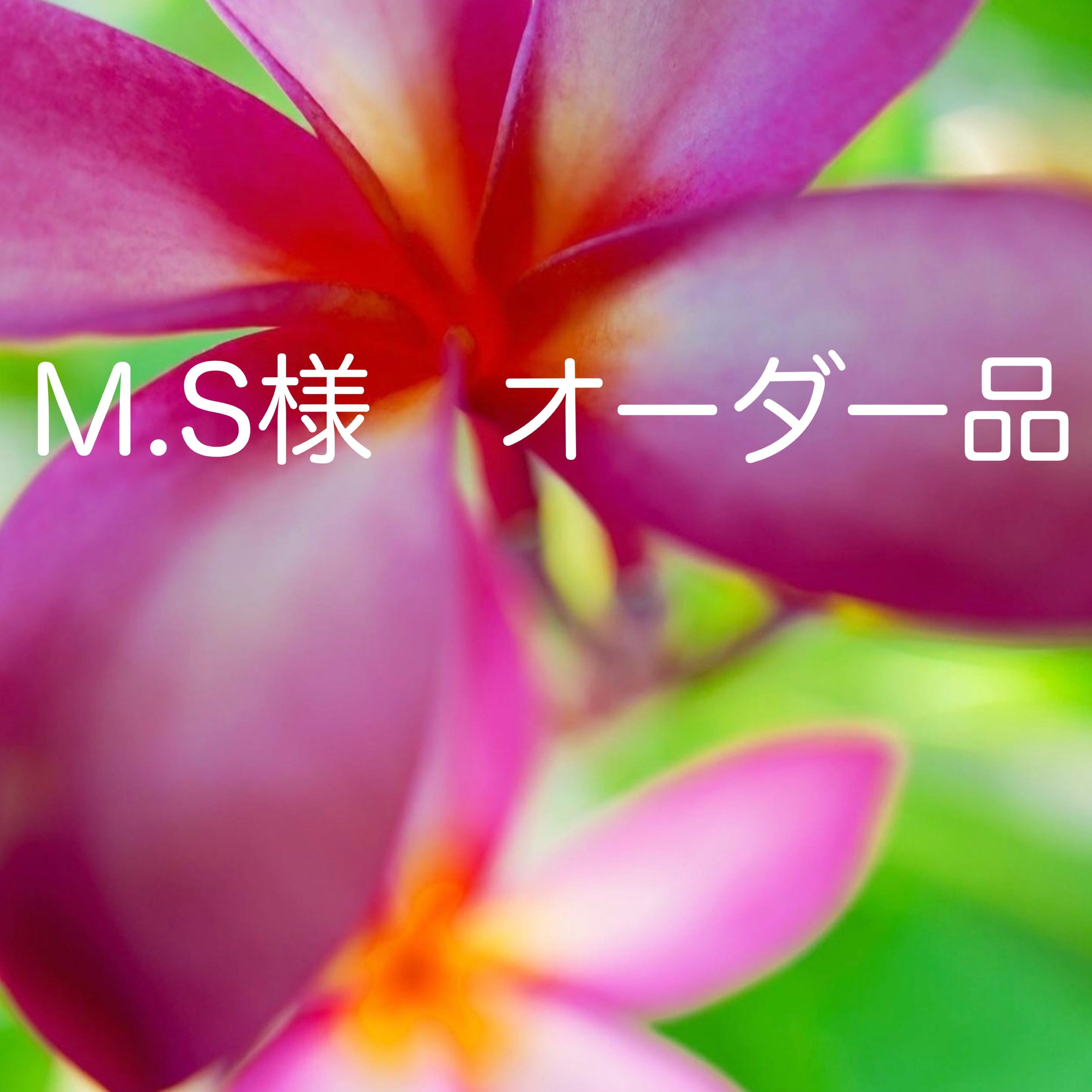 Allen様 ラウディーブルMSカスタムオーダー m.s様オーダー