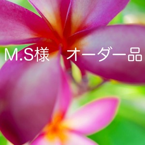 M.S様　オーダー品