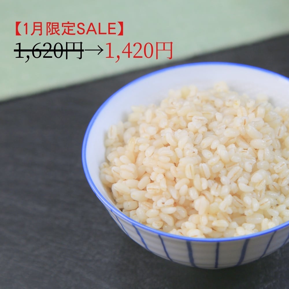 道産もち麦きらりもち