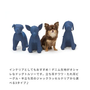 ドッグデニムトルソー
