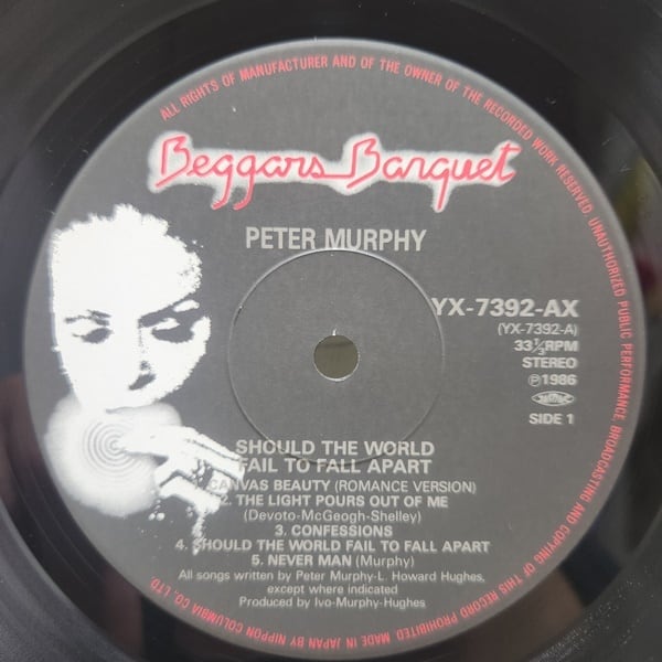 Peter Murphy / Should The World Fail To Fall Apart [YX-7392-AX] - 画像4