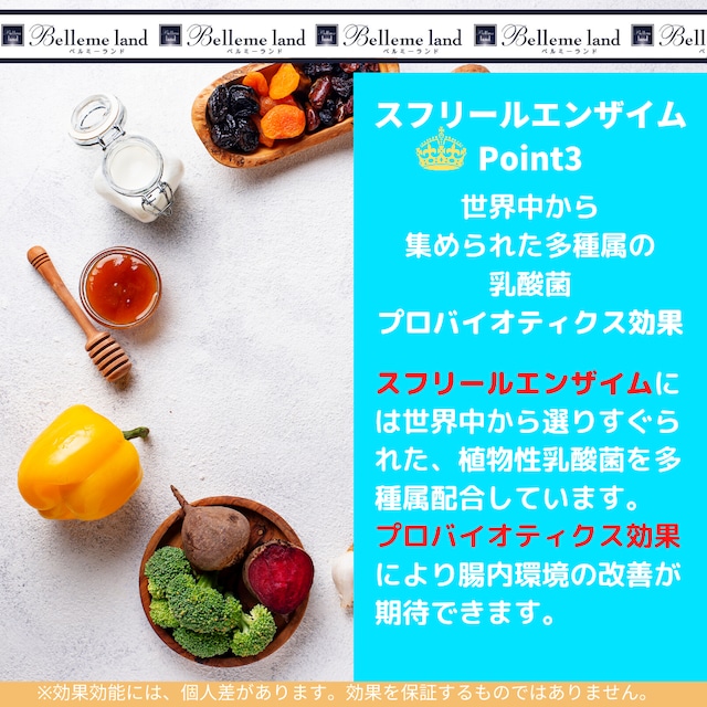 お気に入り】 ベルスフリール エンザイム ダイエット食品 - education