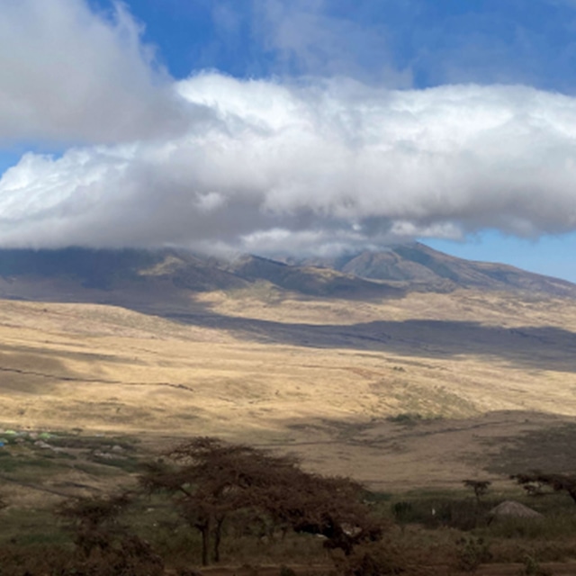 【200g】タンザニア ンゴロンゴロ エレファント フォレスト ピーベリー ウォッシュ