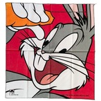 【Good】1993 LooneyTunes MADE IN USA