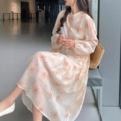 Chinese Style Printed Wind Long A-Line Dress 5011