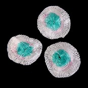 キャンプ　汎用　ガス灯　ランタン　交換　マントル　3枚