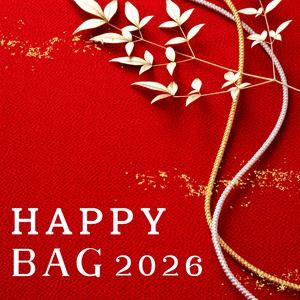 Happy Bag 2026 ヘアアクセサリー5点セット