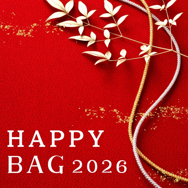 Happy Bag 2026 ヘアアクセサリー5点セット
