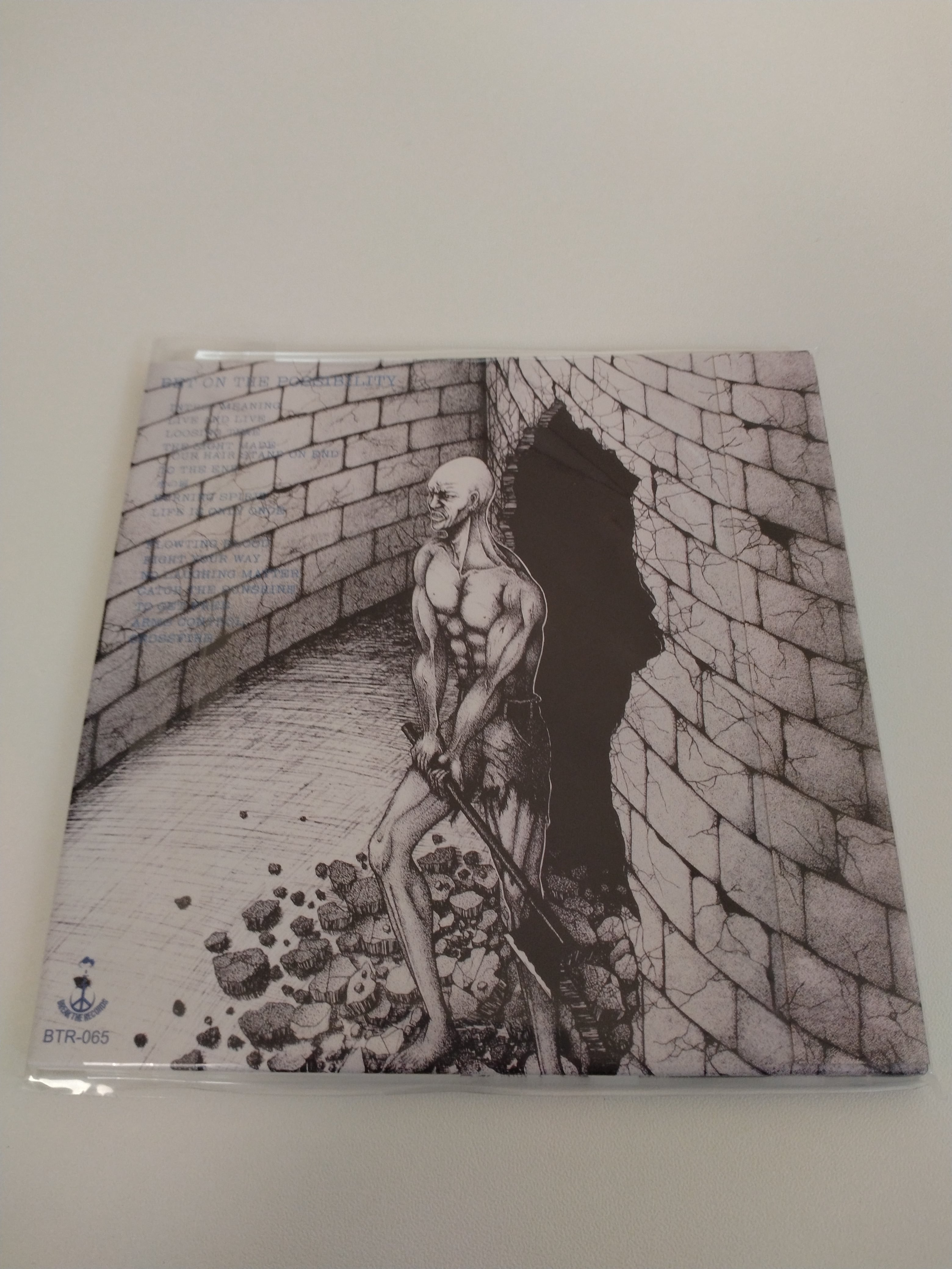 DEATH SIDE/BET ON THE POSSIBILITY(紙ジャケット仕様) | RECORD SHOP