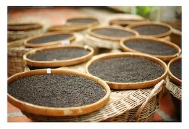 倉田さん情熱の完熟胡椒