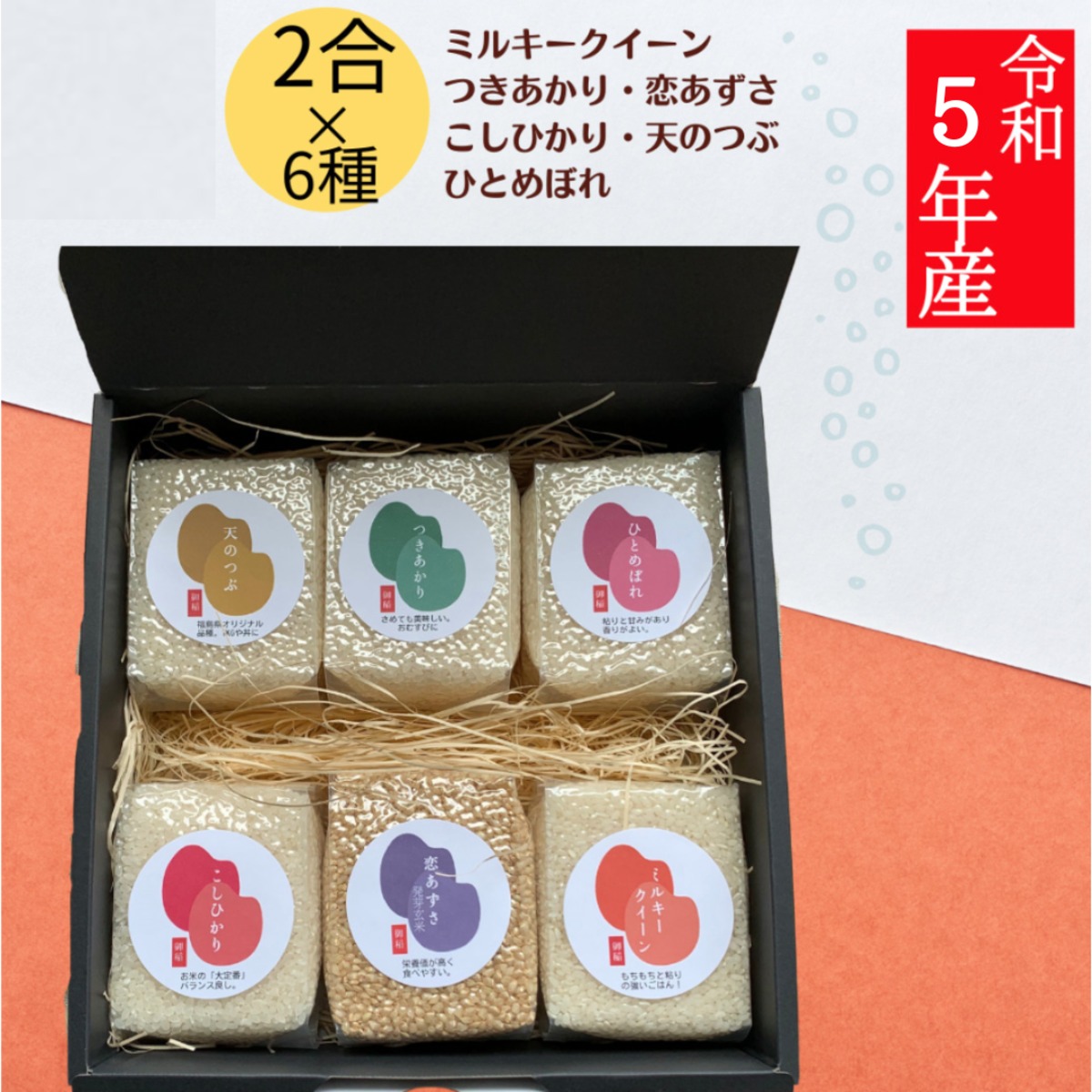 アカデミア酵母　2箱 アカデミア酵母 2箱セット 【公式通販】