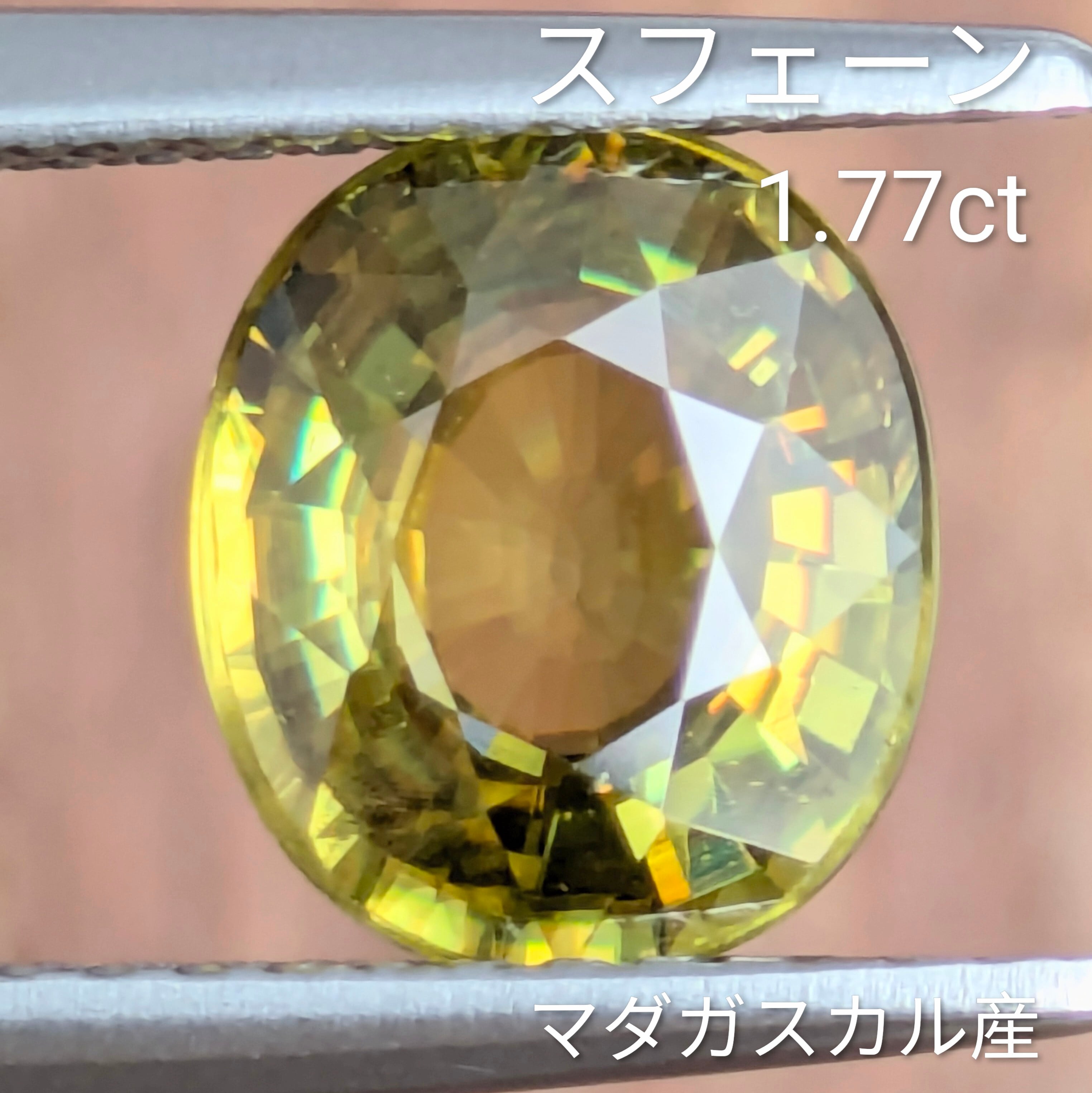 グリーンのラメが強烈な印象の珍品コガネ アオドウガネ・・・分布を北上させている艶消しグリーンの刺客 - 昆虫