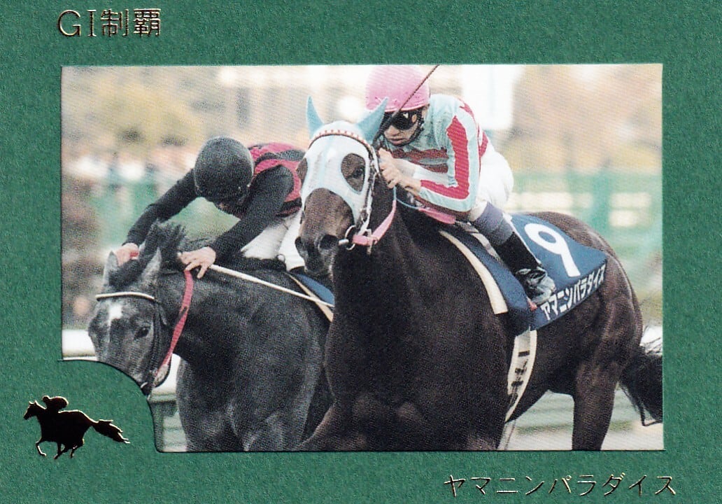 フジキセキ：第46回 朝日杯3歳ステークス(金文字仕様)「THE GRADE ONE