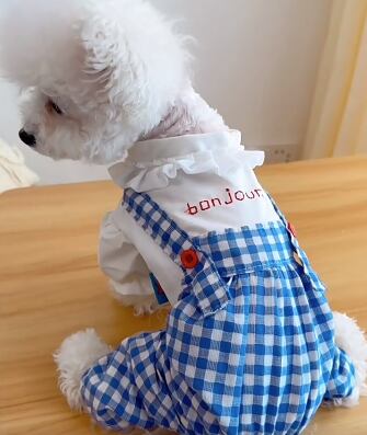 ドッグ 犬 小型犬 チワワ ヨークシャテリア 服カテゴリ ドッグウェア 室内着 オーバーオール オールインワン 四本穴あき コスチューム ズボン 薄手 かわいい おしゃれ ラフ 主役級 存在感 キュート シンプル ギンガムチェック 春 夏 デート お出かけ お泊まり アウトドア パーティー イベント リゾート 旅行 公園 休日 散歩 室内 コーデ インスタ映え XS S M L XL 白 ホワイト 水色 ブルー