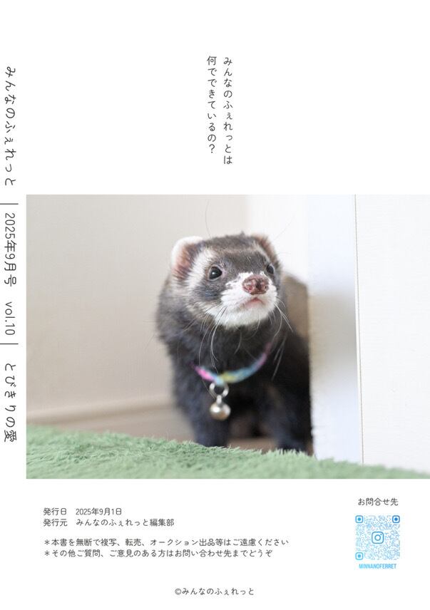 雑誌 みんなのふぇれっと Vol.10 | cocoa