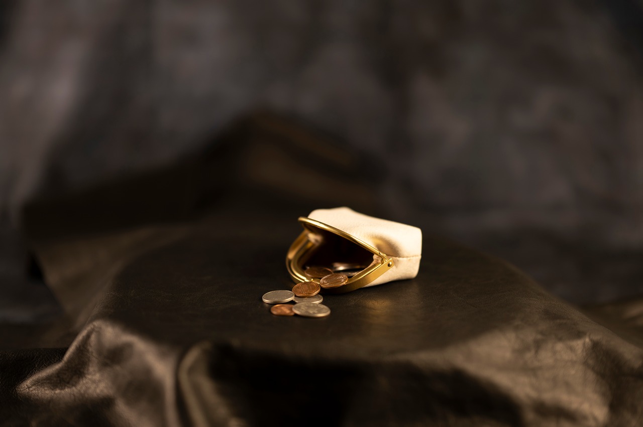 【soul;solid】Brass clasp シリーズ ”ワンタッチ真鍮がま口ミニポーチ” col.Ivory#ALASKA